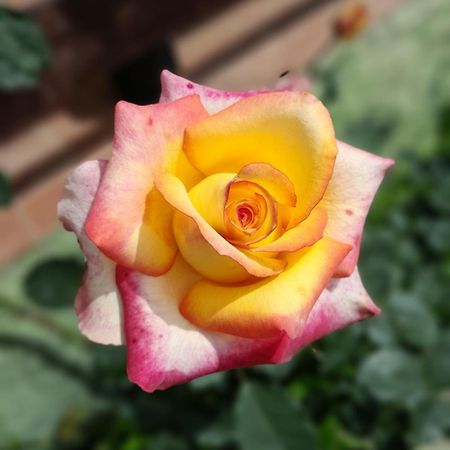 Pousada Dona Elza Monte Verde  Ngoại thất bức ảnh