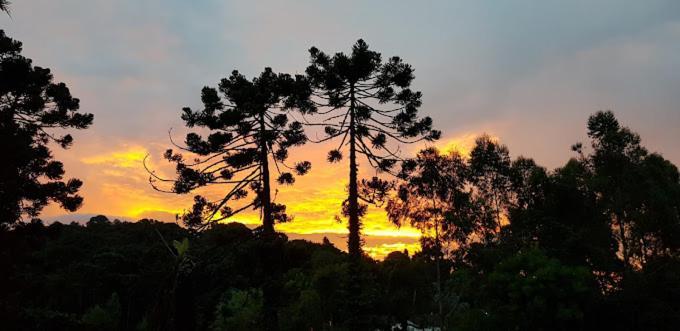 Pousada Dona Elza Monte Verde  Ngoại thất bức ảnh